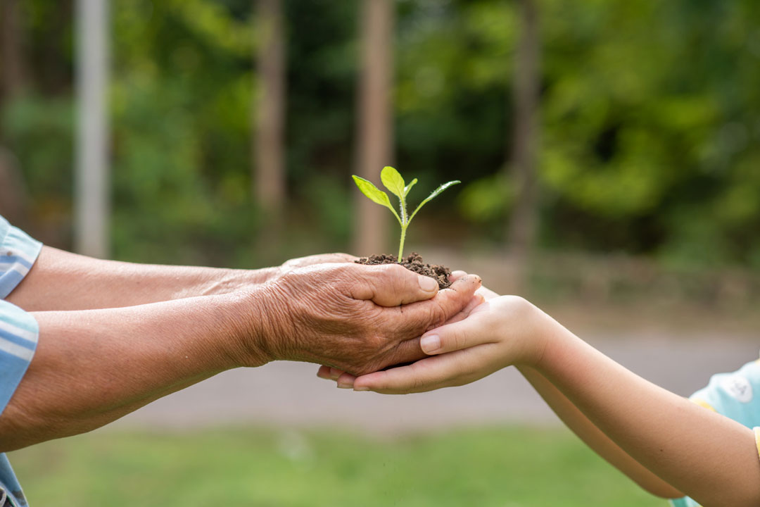 9 ways to save the planet