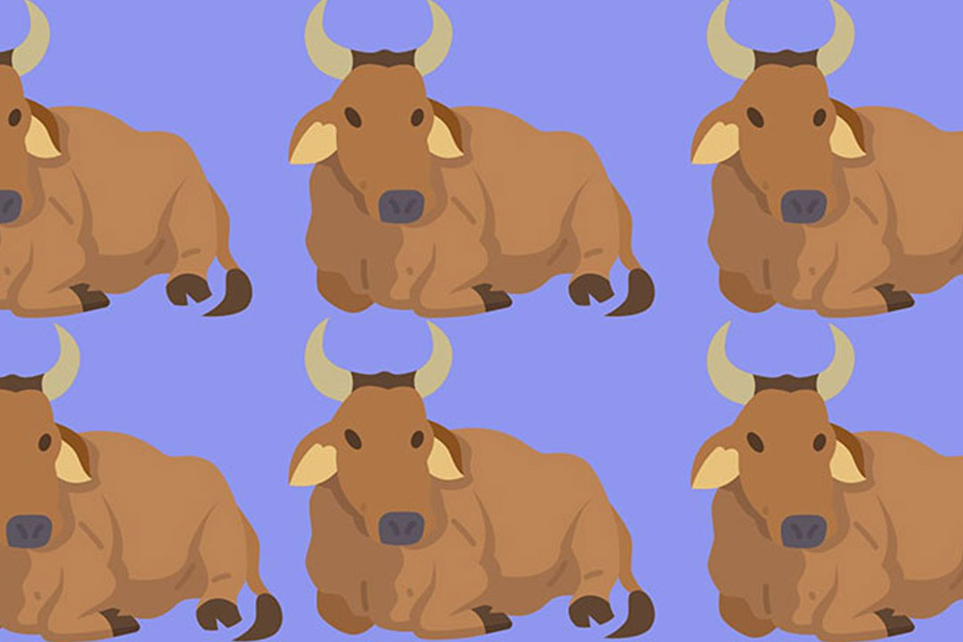 less meat consumption good for planet